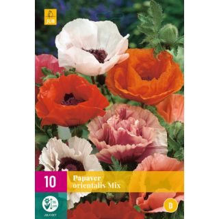 Compra AMAPOLA ORIENTAL MIX XXL en la tienda online Fito Agrícola
