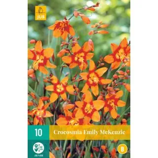 Compra CROCOSMIA EMILY MCKENZIE en la tienda online Fito Agrícola