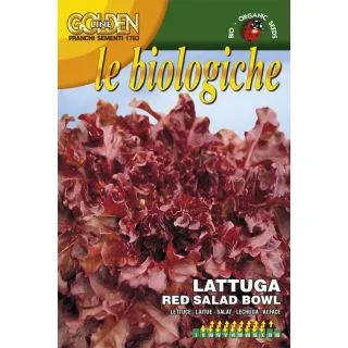Compra LECHUGA RED SALAD BOWL BIO (5 gr.). en la tienda online Fito Agrícola