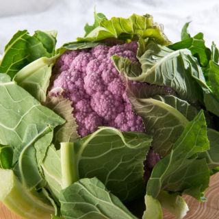 Compra COLIFLOR PARMAC F1 (1000 Semillas). en la tienda online Fito Agrícola