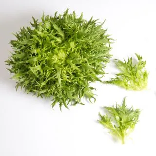 Compra LECHUGA FRISYGO Pildorada (5.000 Semillas) en la tienda online Fito Agrícola