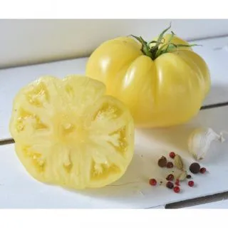 Compra TOMATE MARVORI F1 (1000 Semillas) en la tienda online Fito Agrícola