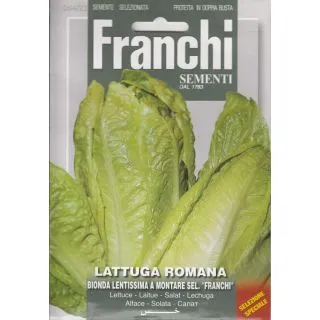 Compra LECHUGA RUBIA LENTISIMA MONTARE 4 Sel. Franchi (4 gr.) en la tienda online Fito Agrícola