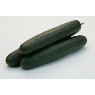 Compra PEPINO IPERIONE F-1 (1.000 Semillas) en la tienda online Fito Agrícola