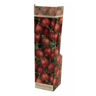 Compra UVA CRISPA ROJA (1 Unid.). en la tienda online Fito Agrícola