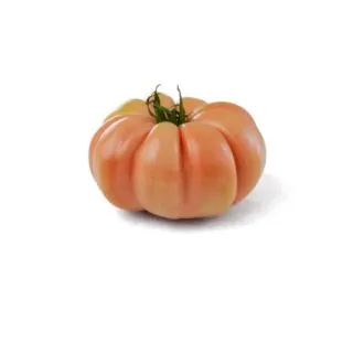 Compra TOMATE ROSAMEI F-1 (1.000 Semillas) en la tienda online Fito Agrícola