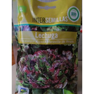 Compra LECHUGA RIZADA MARAVILLA DE VERANO ECOLÓGICA (100 gr.). en la tienda online Fito Agrícola