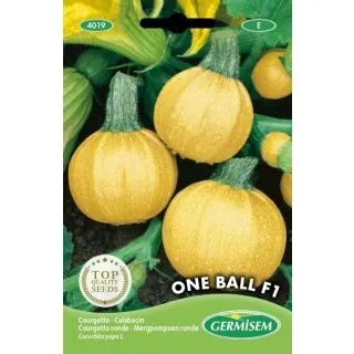 Compra CALABACÍN ONE BALL F1 (5 Semillas). en la tienda online Fito Agrícola