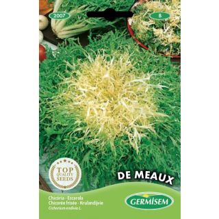 Compra ESCAROLA DE MEAUX (6 gr.). en la tienda online Fito Agrícola