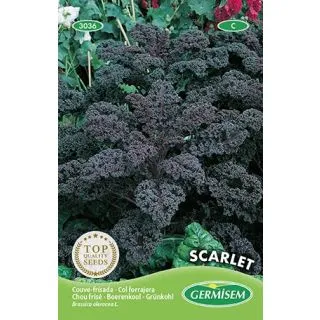 Compra COL KALE SCARLET (2 gr.). en la tienda online Fito Agrícola