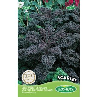 Compra COL KALE SCARLET (50 gr.). en la tienda online Fito Agrícola