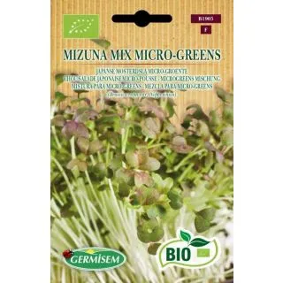 Compra AMESTEC MIZUNAS MICROGREENS BIO (10 gr.). en la tienda online Fito Agrícola