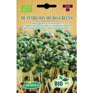 Compra AMESTEC DE MUSTARURI MICROGREENS BIO (10 gr.). en la tienda online Fito Agrícola