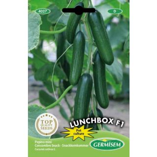Compra PEPINO LUNCHBOX F1 (5 Semillas). en la tienda online Fito Agrícola