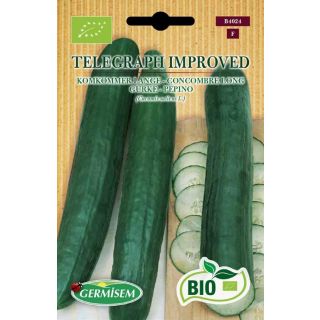 Compra PEPINO TELEGRAPH IMPROVED BIO (10 gr.). en la tienda online Fito Agrícola