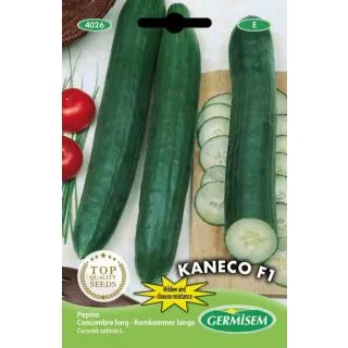 Compra PEPINO KANECO F1 (8 Semillas). en la tienda online Fito Agrícola