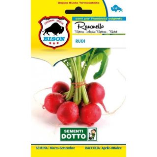 Compra RABANITO RUDI (15 gr.). en la tienda online Fito Agrícola