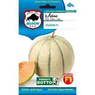 Compra MELÓN ESADOR F1 (15 Semillas). en la tienda online Fito Agrícola