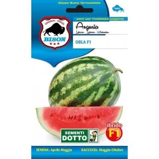 Compra SANDÍA OBLA F1 (0,6 gr.). en la tienda online Fito Agrícola