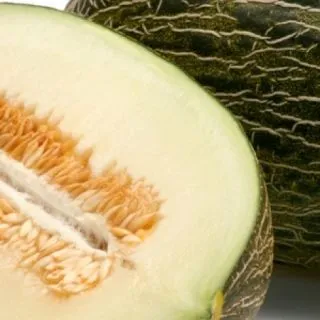 Compra MELÓN REYMIEL RZ F1 (1000 Semillas). en la tienda online Fito Agrícola