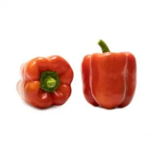 Compra ARDEI CLAVESOL RZ F1 Precizie (1000 semințe). en la tienda online Fito Agrícola