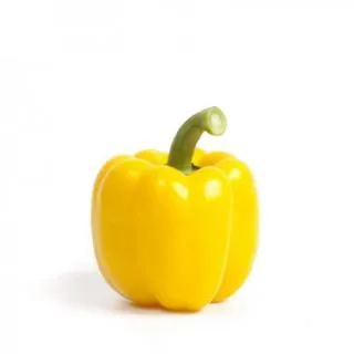 Compra PIMIENTO SVEN RZ F1 Precisión (1000 semillas). en la tienda online Fito Agrícola