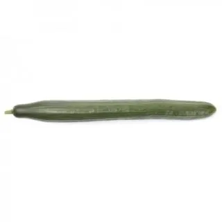 Compra PEPINO JUNGLA RZ F1 Precisión (1000 Semillas). en la tienda online Fito Agrícola