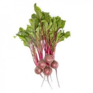 Compra REMOLACHA BETTY RZ Precisión (25.000 Semillas) en la tienda online Fito Agrícola