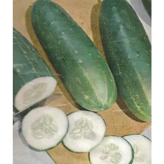 Compra PEPINO MARKETER (500 gr.). en la tienda online Fito Agrícola