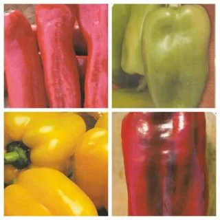 Compra SEMILLAS DE PIMIENTOS GRATIS (3 Unidades). en la tienda online Fito Agrícola