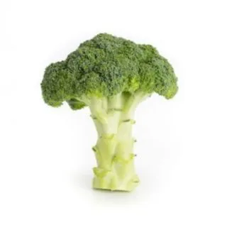 Compra BRÓCOLI ROBREDO RZ F1 Precisión (2.500 Semillas). en la tienda online Fito Agrícola