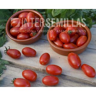 Compra TOMATE DOLCISIO F1 (1000 Semillas). en la tienda online Fito Agrícola
