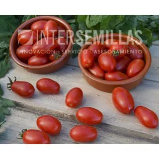 Compra TOMATE DOLCISIO F1 (1000 Semillas). en la tienda online Fito Agrícola