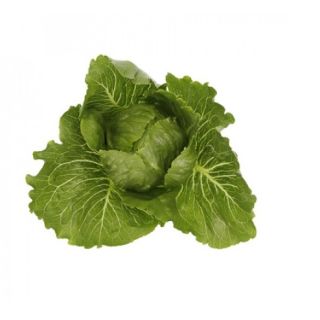 Compra LECHUGA MALENITA RZ Pildorada (5.000 Semillas). en la tienda online Fito Agrícola