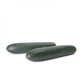 Compra PEPINO TOUAREG RZ F1 Precisión (1000 semillas). en la tienda online Fito Agrícola