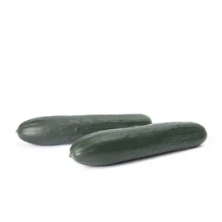 Compra PEPINO TOUAREG RZ F1 Precisión (1000 semillas). en la tienda online Fito Agrícola