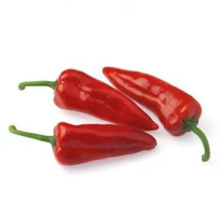 Compra ARDEI BELLISA RZ F-1 PRECIZIE (1000 Semințe). en la tienda online Fito Agrícola