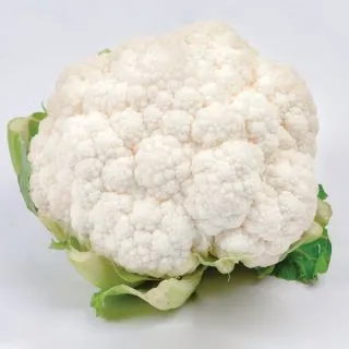 Compra COLIFLOR MARMOREX F1 (5.000 Semillas) en la tienda online Fito Agrícola