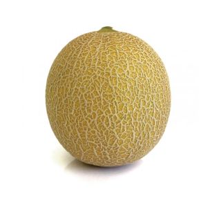 Compra MELÓN ALBIZU F1 (1000 Semillas) en la tienda online Fito Agrícola