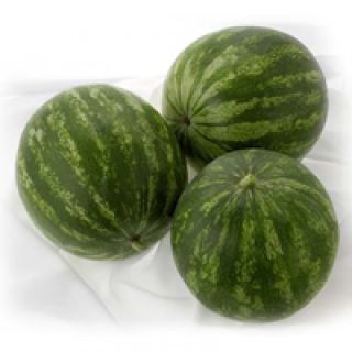 Compra SANDÍA ROMALINDA F1 (1.000 Semillas). en la tienda online Fito Agrícola