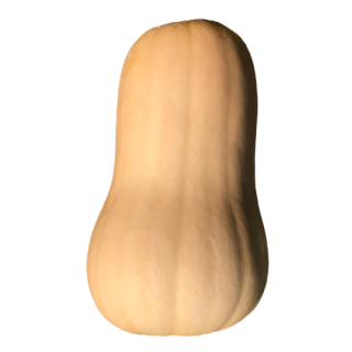 Compra CALABAZA DENIS F1 (1.000 Semillas) en la tienda online Fito Agrícola