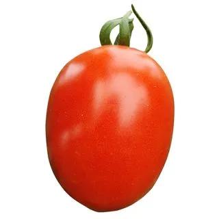 Compra TOMATE FRODO F1 (1.000 Semillas) en la tienda online Fito Agrícola