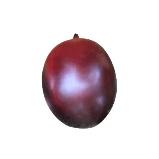 Compra TOMATE PERA LILA F1 (1.000 Semillas) en la tienda online Fito Agrícola