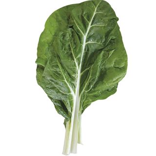 Compra ACELGA LUSIANA (50.000 Semillas) en la tienda online Fito Agrícola