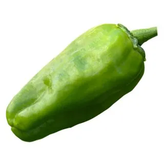 Compra ARDEI PADRÓN TEIRA (1.000 Semințe) en la tienda online Fito Agrícola