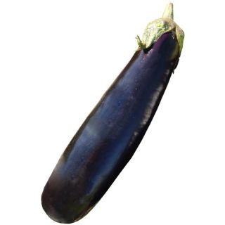 Compra BERENJENA TERESA F1 (1.000 Semillas) en la tienda online Fito Agrícola