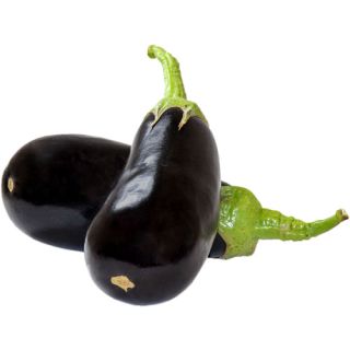 Compra BERENJENA SAMBA F1 (1.000 Semillas) en la tienda online Fito Agrícola