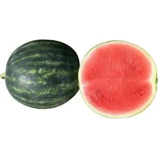 Compra SANDÍA BELINDA F1 (1.000 Semillas) en la tienda online Fito Agrícola