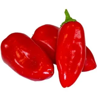 Compra ARDEI ASHDODNA F1 (1.000 semințe). en la tienda online Fito Agrícola