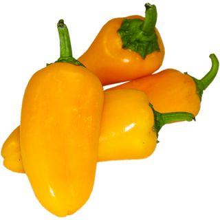 Compra PIMIENTO ACADYA F1 (1.000 Semillas) en la tienda online Fito Agrícola